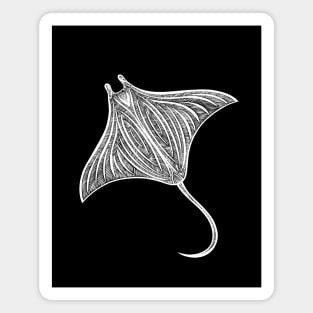 Manta Ray drawing - design for animal lovers Magnet